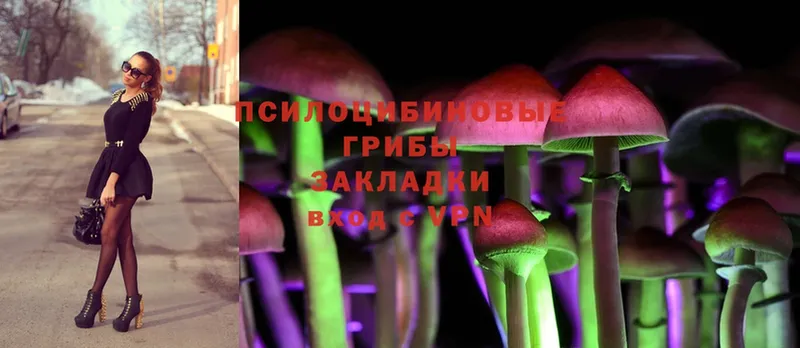 мега ТОР  купить наркоту  Верхняя Салда  Псилоцибиновые грибы Cubensis 